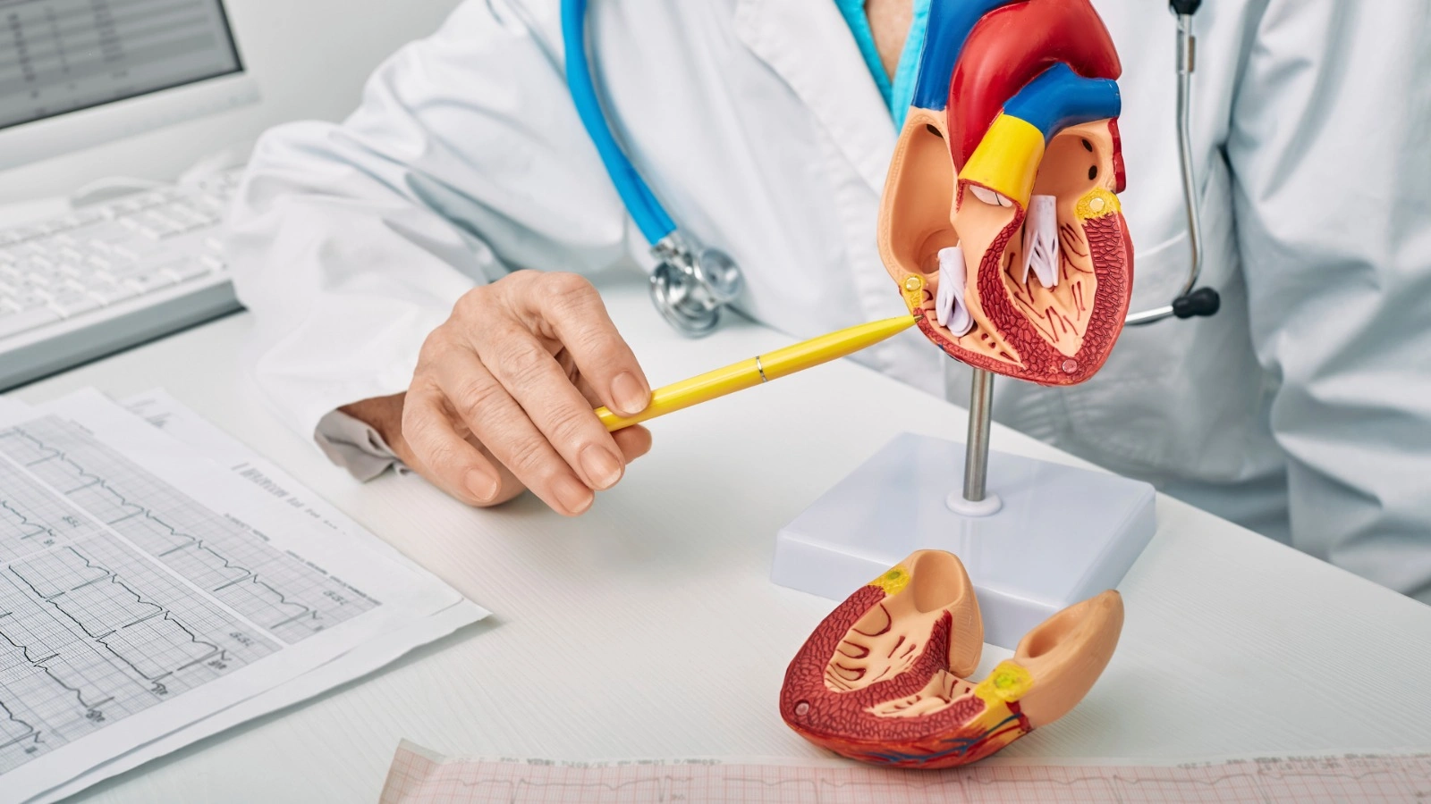 whatsapp image 2025 09 22 at 4.00.51 pm