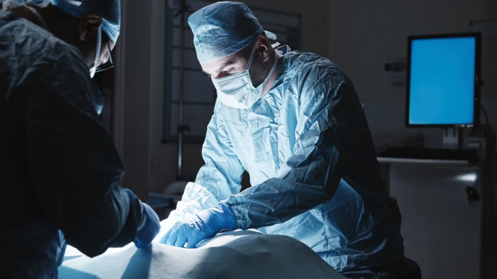 whatsapp image 2025 09 22 at 4.00.53 pm